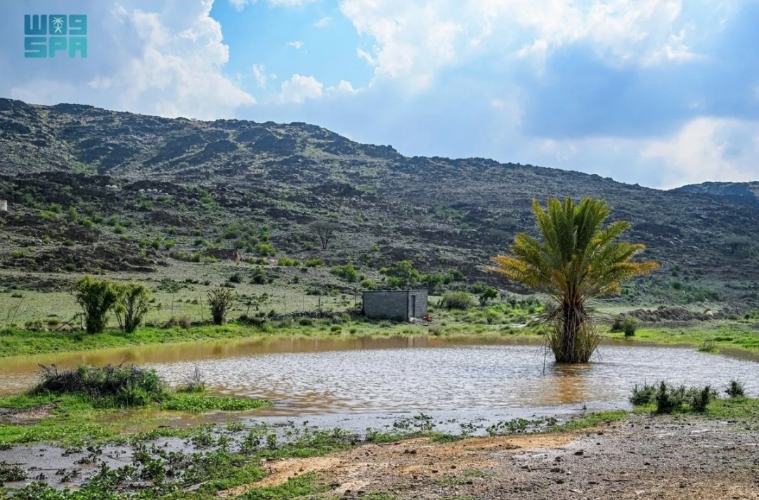 أمطار الباحة تُنعش البيئة الطبيعية وتُعزّز جاذبية المنطقة سياحيًا (سيدتي)