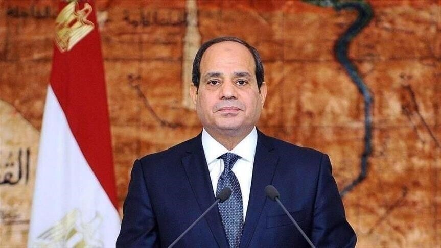 الرئيس المصري خلال لقاء مع الأمين العام لمنظمة التعاون الاقتصادي والتنمية، ماتياس كورمان( الاناضول).