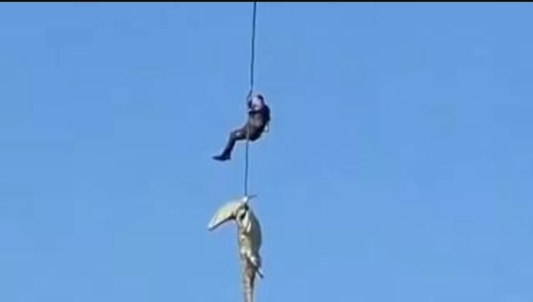 نقل رفات بشرية داخل تمساح بعد تخديره خلال عملية بحث عن رجل مفقود قرب نهر كوماتي (سبوتنيك)