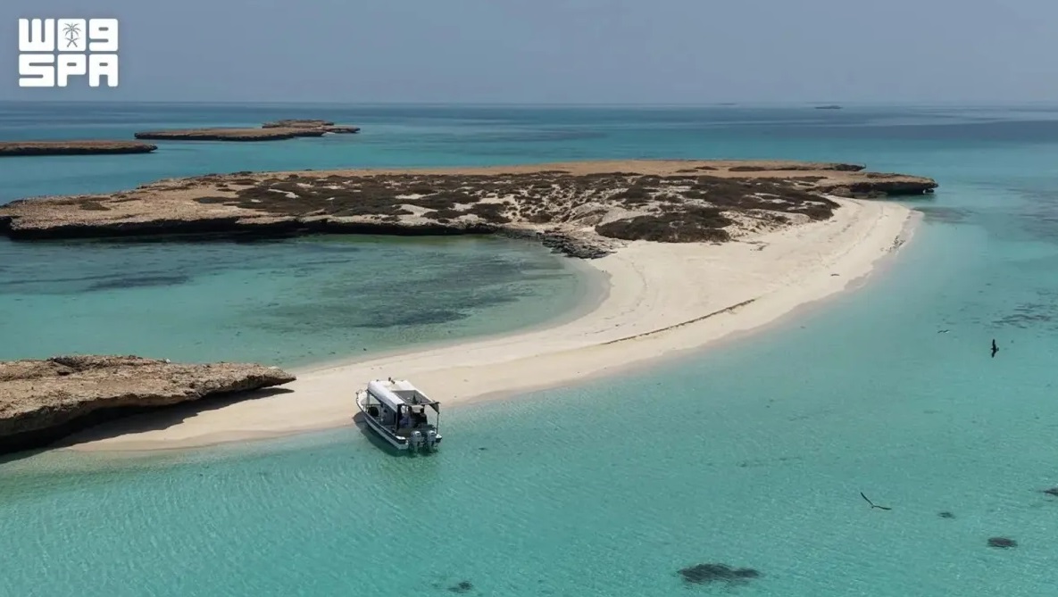 جزيرة أبو شوراية.. وجهةٌ طبيعية بفرسان ترسمها النوارس (واس)