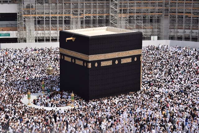هل قتل الصرصار أثناء الإحرام عليه فدية؟.. أمين الفتوى يجيب (أونسبلاش)