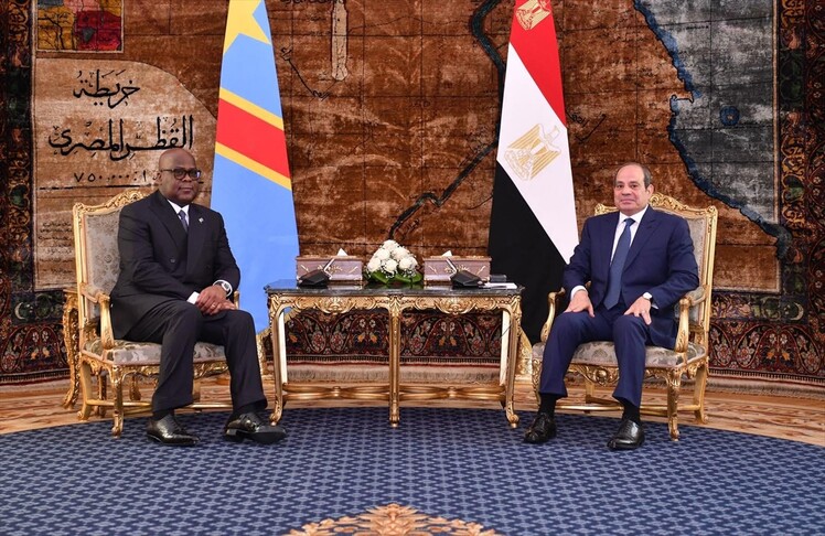 مصر تدعو دول حوض النيل للتوافق وتؤكد رفض الإضرار بأي طرف