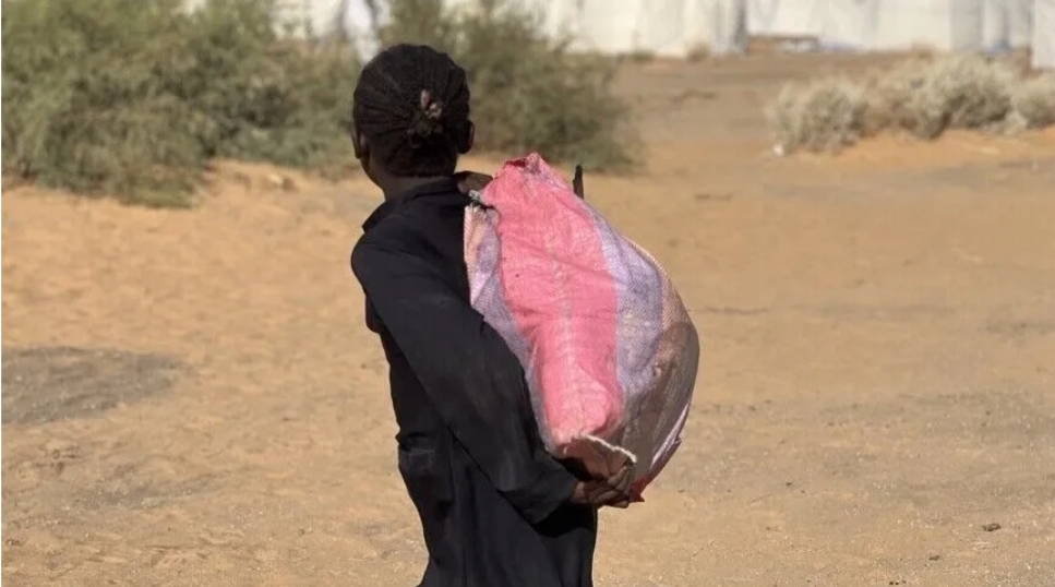 لجنة شعبية: (الدعم السريع) تواصل القتل والترهيب في كلبس غربي السودان (الأناضول)