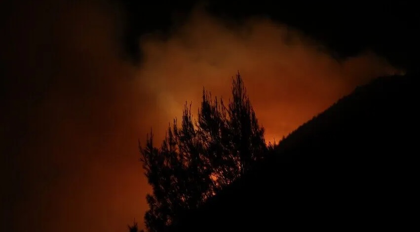 الجزائر.. إجلاء سكان وإخلاء مستشفى بسبب حرائق غابات (الأناضول)