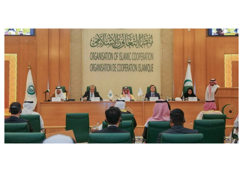 من اجتماع سابق للهيئة الدائمة المستقلة لحقوق الإنسان لمنظمة التعاون الإسلامي (موقع الهيئة)