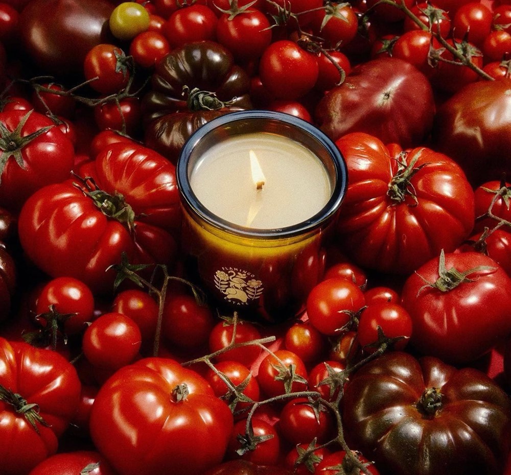 عطور منزلية تمنح أجواءً فاخرة.. بلمسات بسيطة (زهرة الخليج)